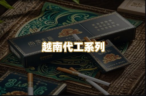 越南代工系列